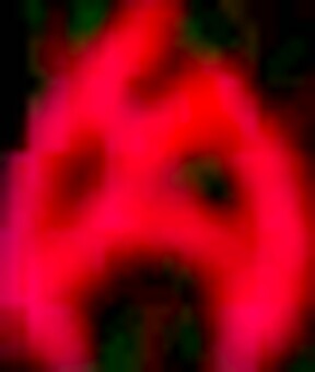 0262-016DHT-0869-7 mp4