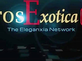 A Relaxing And Arousing Tantra Tech
