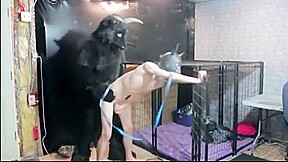 A horny Minotaur