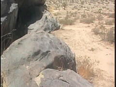 American Dirty Pleasure - 2