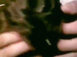 Annette Haven, C j  Laing, Constance Money In Vintage Fuck