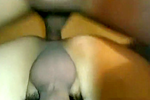 Asian CD BB Cum