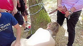 Attachée à un arbre je leur sert de vide couilles