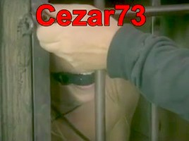 BDSM Sex by Cezar73