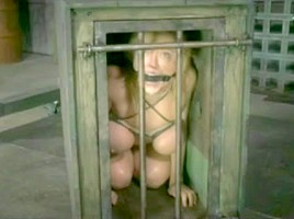 BDSM Sex by Cezar73