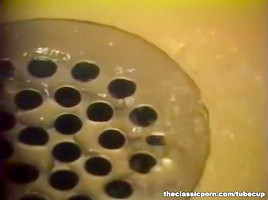 Babe washed and involved in fuck
