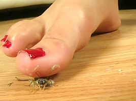 Barefeet cricket crush