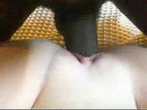 Bbw Interraccial Sex