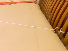Bed Strappado And Clamps