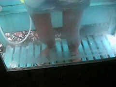 Best Amateur, , Changing Room Clip Show