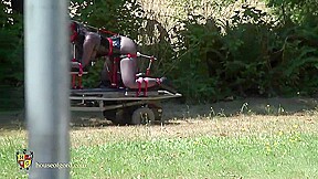 Best Porn Scene Outdoor Hottest Uncut