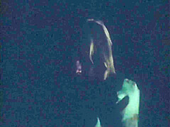 Best Xxx Clip Vintage Wild , Check It
