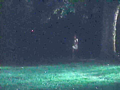 Best Xxx Clip Vintage Wild , Check It