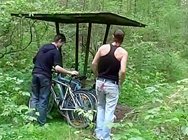 Biking Tour