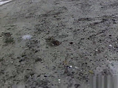 Bizarre asian whore pees in car park