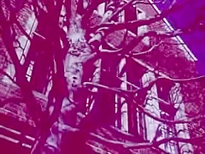 Blue Ice (1985)
