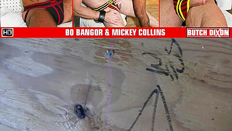 Bo Bangor