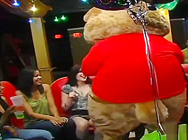 CFNM Dancing Bear Party