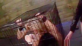 Caged Slave Humiliated