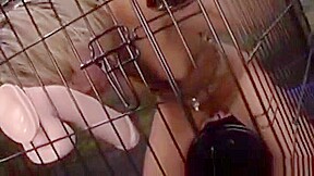 Caged Slave Humiliated