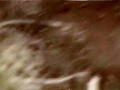 Caught Peeing in Forest