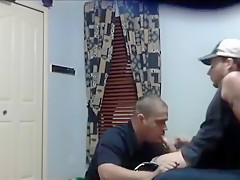 Chacal hetero ordeñado