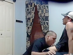 Chacal hetero ordeñado