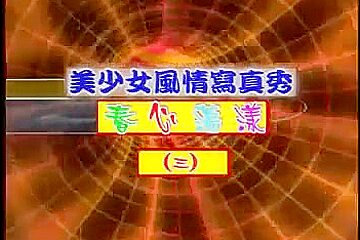 Chinese SoftCore 3
