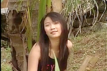Chinese SoftCore 3