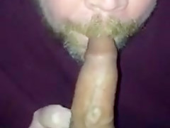 Concupiscent bud serves moist chorizo
