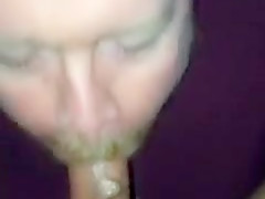 Concupiscent bud serves moist chorizo