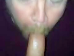 Concupiscent bud serves moist chorizo