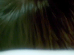 1976 - Cry For Cindy - Restored - 01