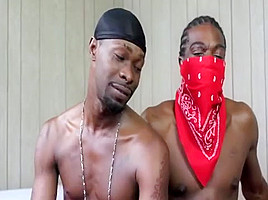 Dabandit and Tyson