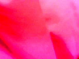 Desi paki NRI couple aunty blowing Cock Cum in mouth swallowing hot jizz