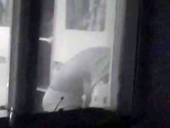 Espiando por la ventana 7