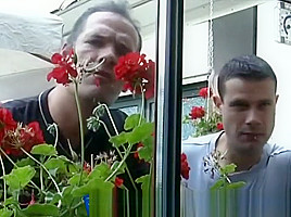 Exploitedafricanimmigrants-4-8-217-eai-4-8-215-3-dbm-au-pair