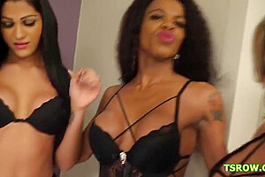 Five Horny Transsexuals Fuck Guy And Each Other - Rosy Pinheiro