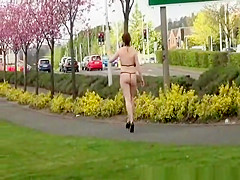 Flashing Redhead