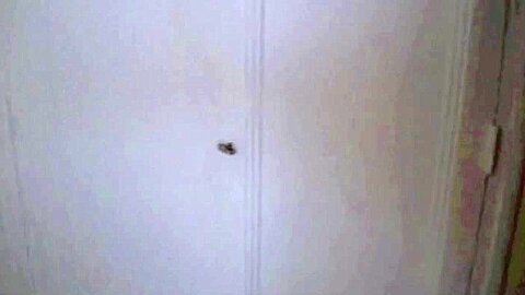 Fucked By Arab Fucker In The Kitchen - FrenchFuckers