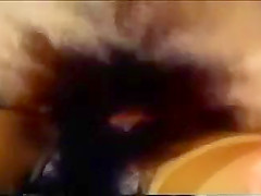 Gina The Foxy Chick (1974)