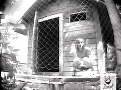 Girls Pissing video 250