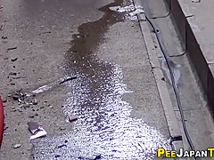 Hairy Snatch Asian Urinates