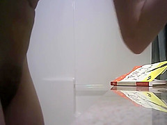 Hidden Bathroom