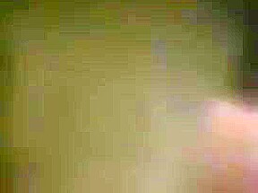 Horny Brazil Cpl