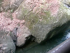 Horny Japanese whore in Exotic Outdoor, Amateur JAV scene