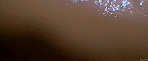 Horsehead (2014) Lilly-Fleur Pointeaux, Gala Besson