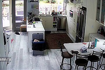 Ip Cam 7-12-20