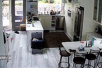 Ip Cam 7-12-20