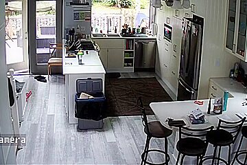 Ip Cam 7-12-20